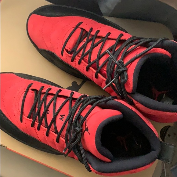 Jordan Other - Air Jordan 12 Retros